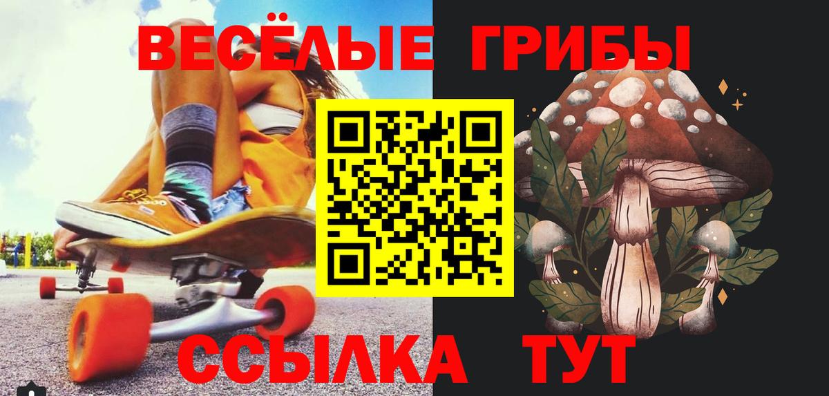 Галлюциногенные грибы Psilocybe Тара