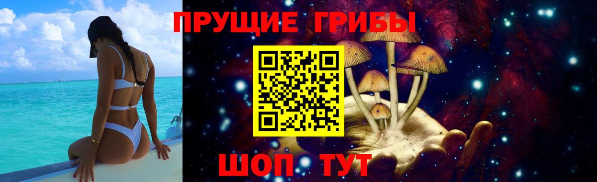 Тара  Псилоцибиновые грибы Cubensis  Вход с VPN  Псилоцибиновые грибы Cubensis 